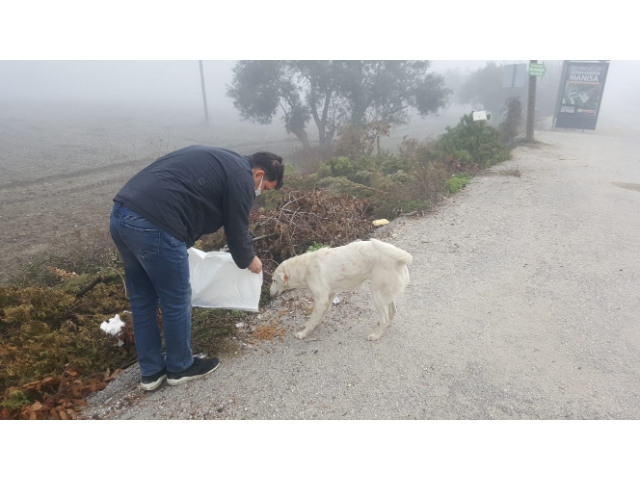 SOKAK HAYVANLARINA MAMA DESTEĞİ