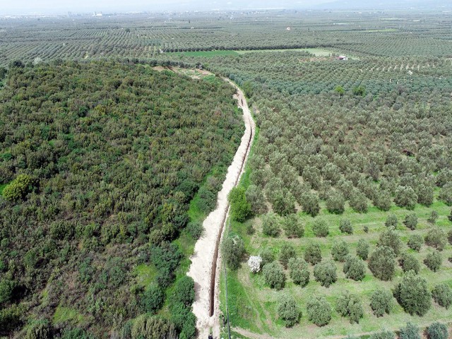 MANİSA'LI ÇİFTÇİYE ÇAMÖNÜ MÜJDESİ