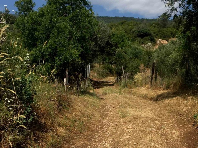 ŞEHZADELER BELEDİYESİ, 5 YILDIR KAPALI OLAN YOLU YENİDEN ULAŞIMA AÇTI