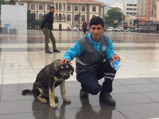 "SOKAK HAYVANLARINA SAHİP ÇIKALIM"