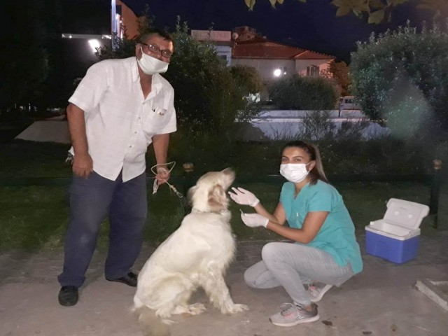 AV KÖPEKLERİ AŞILANDI