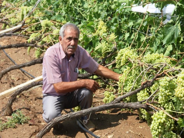 ÇİFTÇİLERİ SEL FELAKETİ VURDU