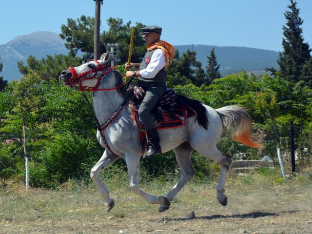 30 YILLIK ŞOFÖRÜN AT TUTKUSU