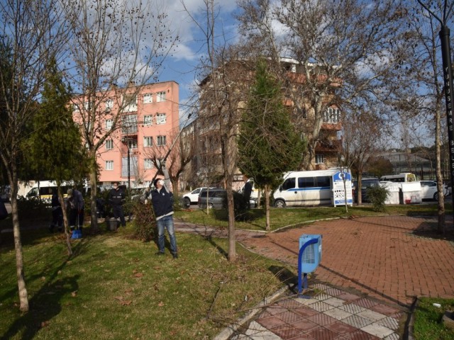 BUDANAN AĞAÇLARDAN YAKACAK YARDIMI