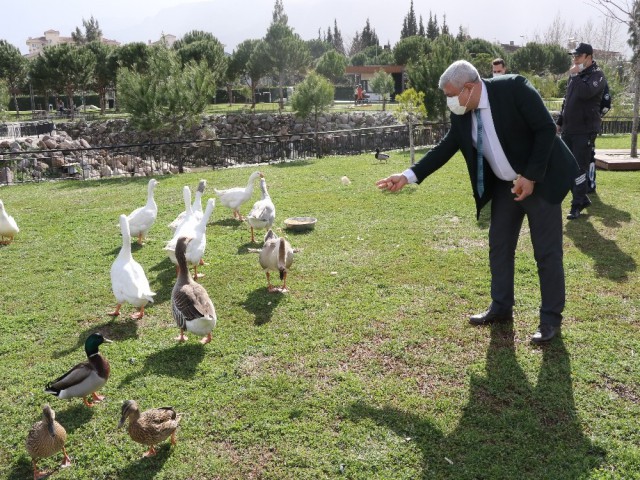 KENT PARK KUŞ CENNETİNE DÖNDÜ