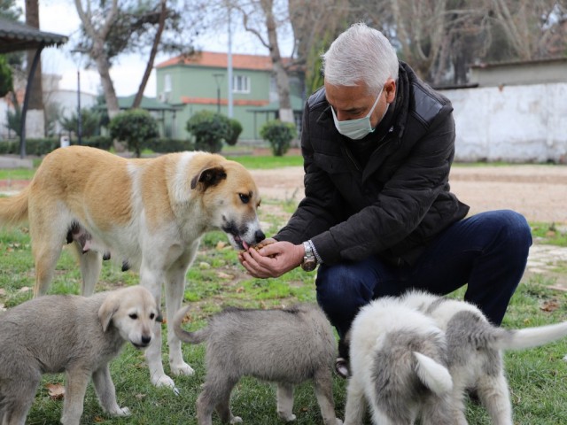 SOKAK HAYVANLARI UNUTULMUYOR