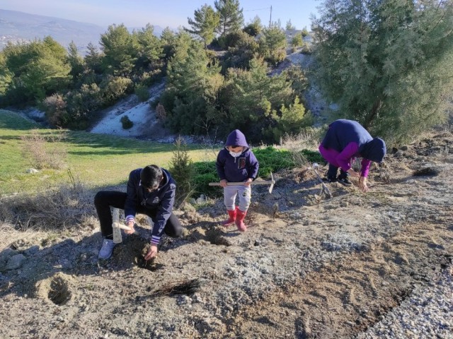 MANİSA'YA EN UZUN LAVANTA YOLU