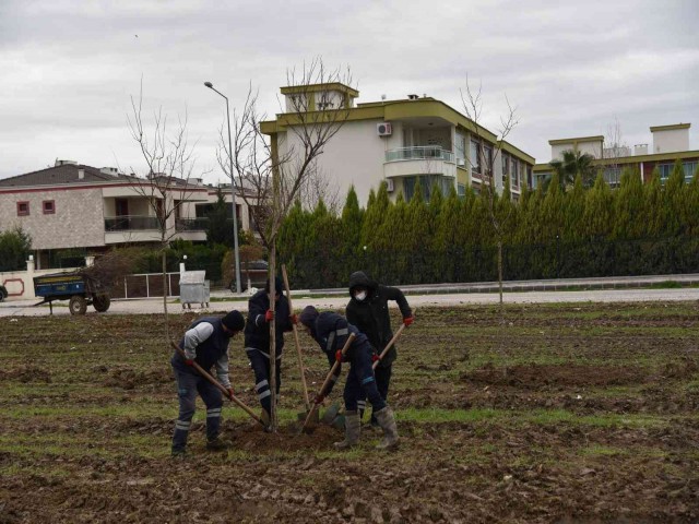 YUNUSEMRE MURADİYE'Yİ AĞAÇLANDIRIYOR