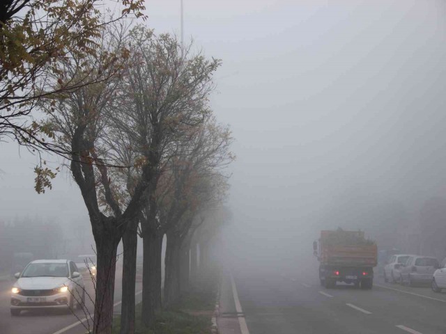 Manisa’da yoğun sis etkili oldu