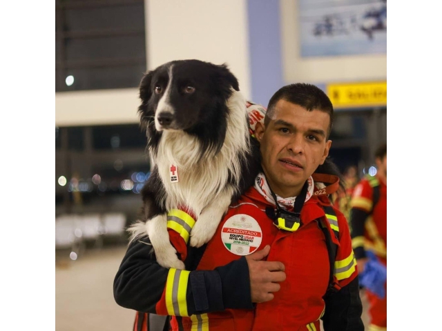 DEPREM KÖPEKLERİ HAYAT KURTARIYOR