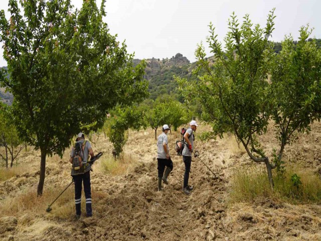 YUNUSEMRE'NİN ORGANİK MEYVE BAHÇESİNDE ÇALIŞMALAR SÜRÜYOR