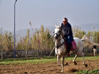 VALİ DENİZ ATA BİNDİ