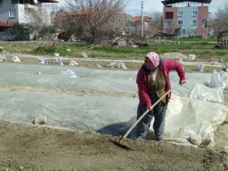 TÜTÜNCÜLERİN TELAŞI BAŞLADI