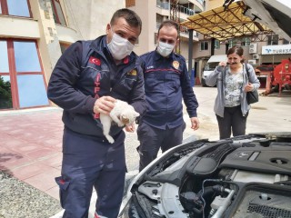 ARAÇTA KEDİ SESİ DUYDU İTFAİYEYE KOŞTU