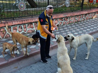 HAYVANLAR ONU DÖRT GÖZLE BEKLİYOR