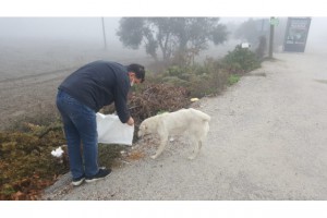 SOKAK HAYVANLARINA MAMA DESTEĞİ