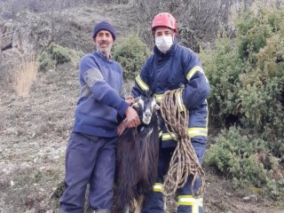 MAHSUR KALAN KEÇİYİ İTFAİYE KURTARDI