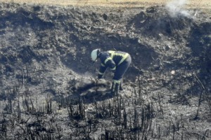 10 YAVRU KÖPEK YANGINDA TELEF OLDU