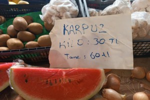 KARPUZUN DİLİMİ 60 TL