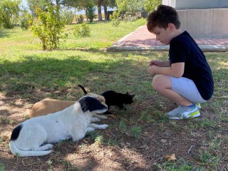 KEDİ VE KÖPEĞİN ÖRNEK DOSTLUĞU