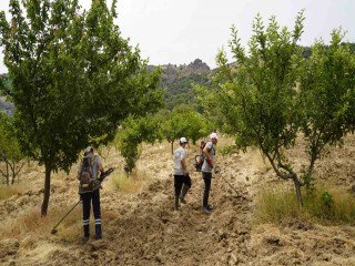 YUNUSEMRE'NİN ORGANİK MEYVE BAHÇESİNDE ÇALIŞMALAR SÜRÜYOR